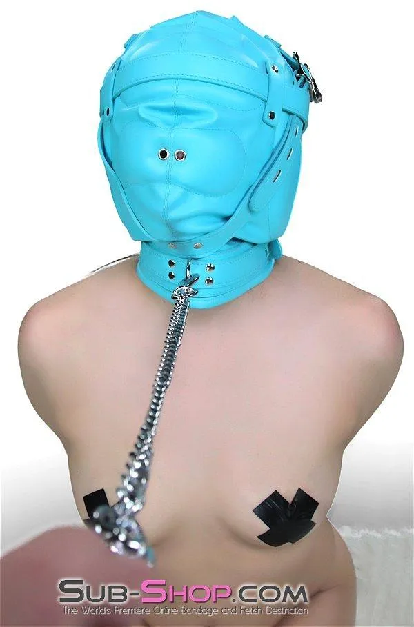 3728RS      Forbidden Fantasies Diamond Blue Locking Sensory Deprivation Slave Hood