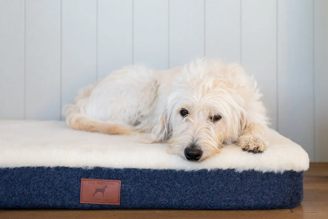 Cobalt Blue Bespoke Dog Mat