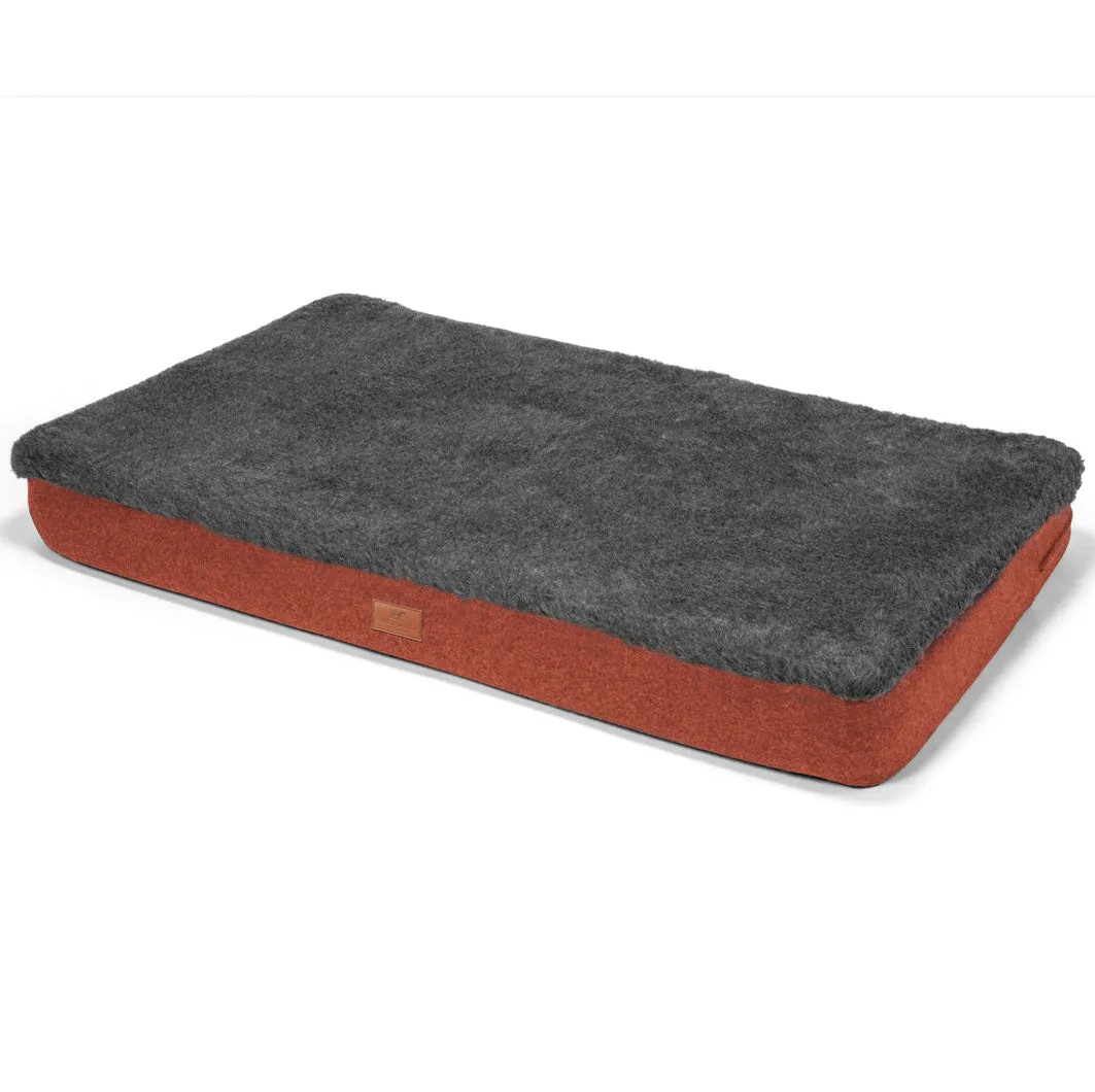 Fire Orange Dog Mat