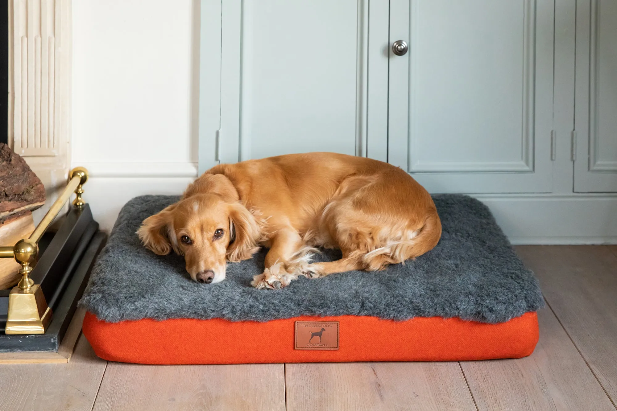 Fire Orange Dog Mat