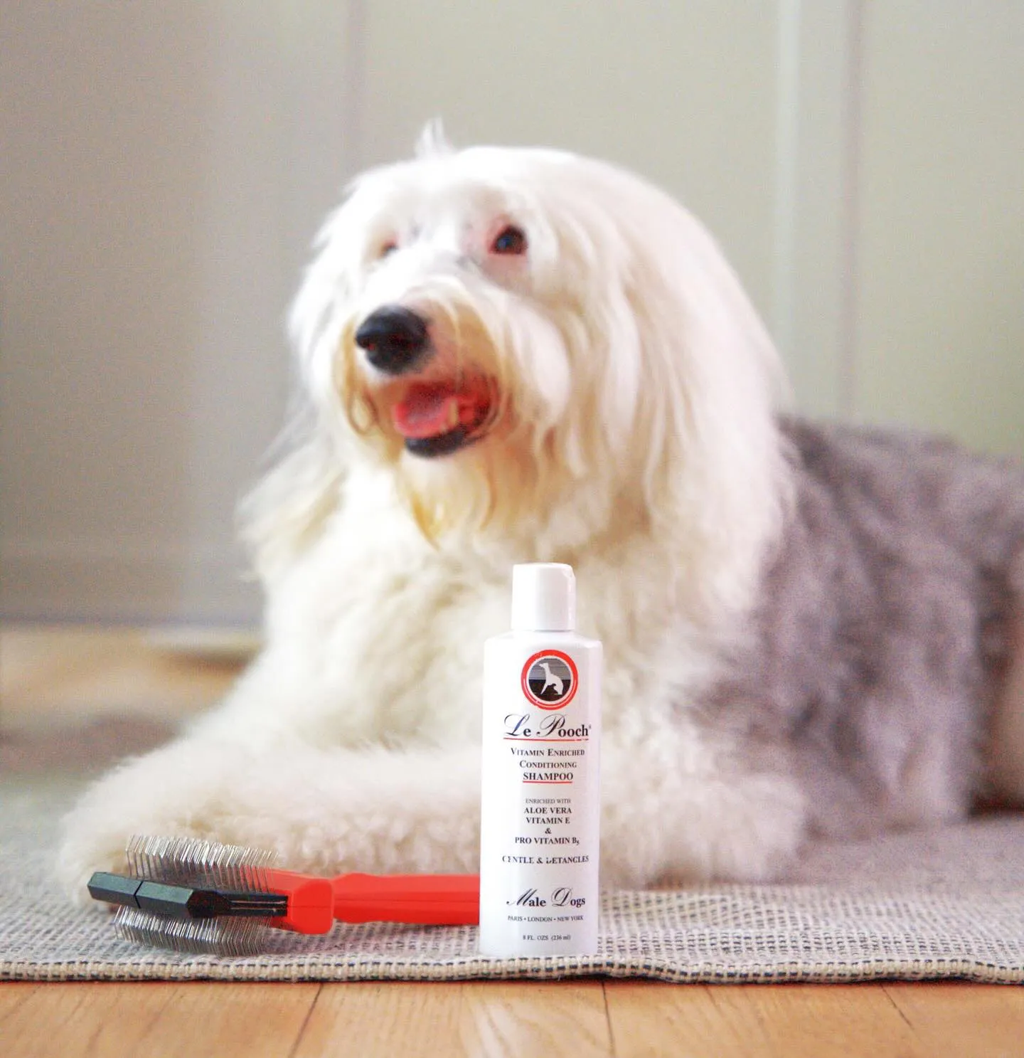 Les Poochs - Vitamin Enriched Hypo-Allergenic Shampoo - Dog Shampoo