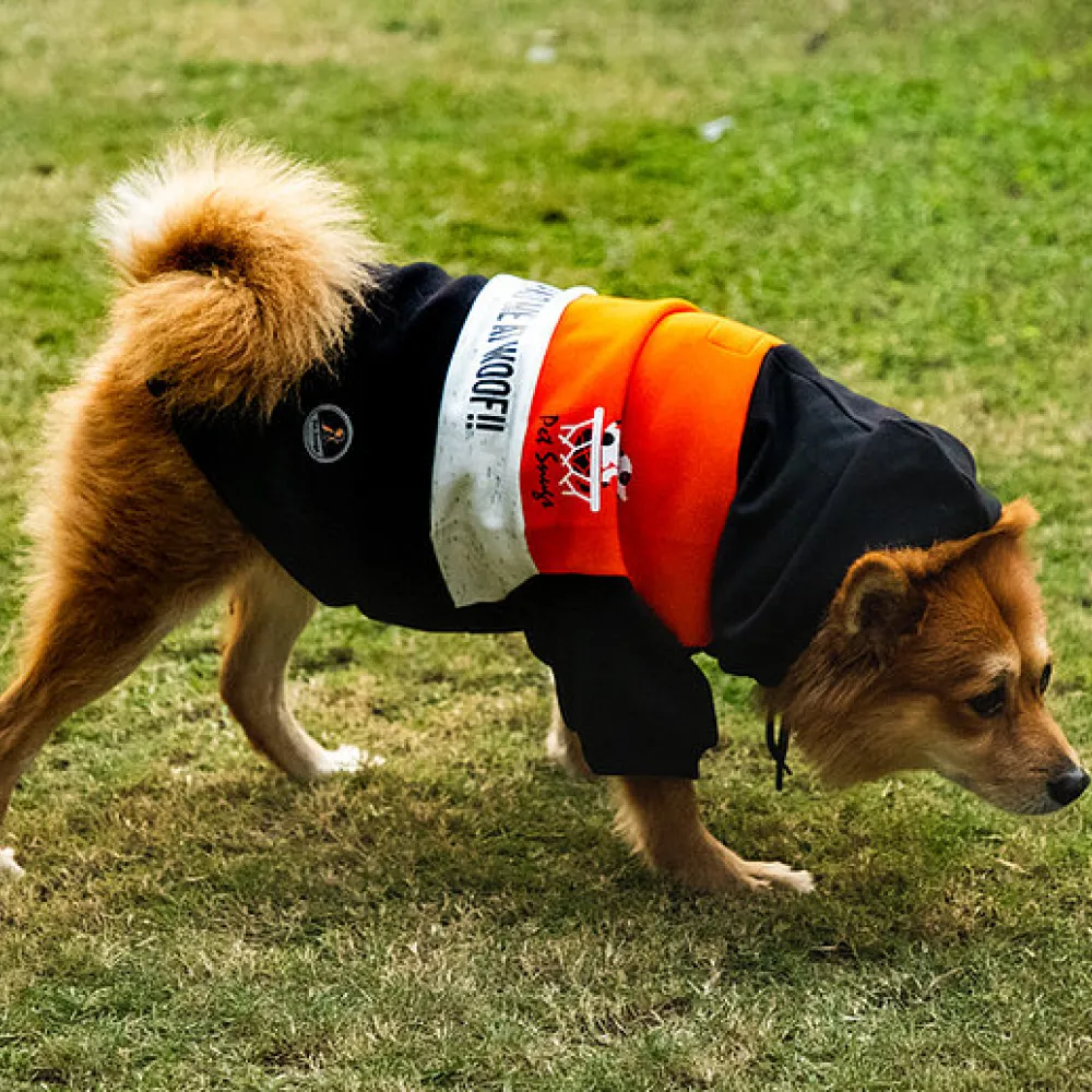 Pet Snugs You Had Me At Woof Sweatshirt for Dogs (Orange White & Black)