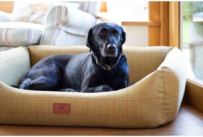 Tweed Classic Dog Bed